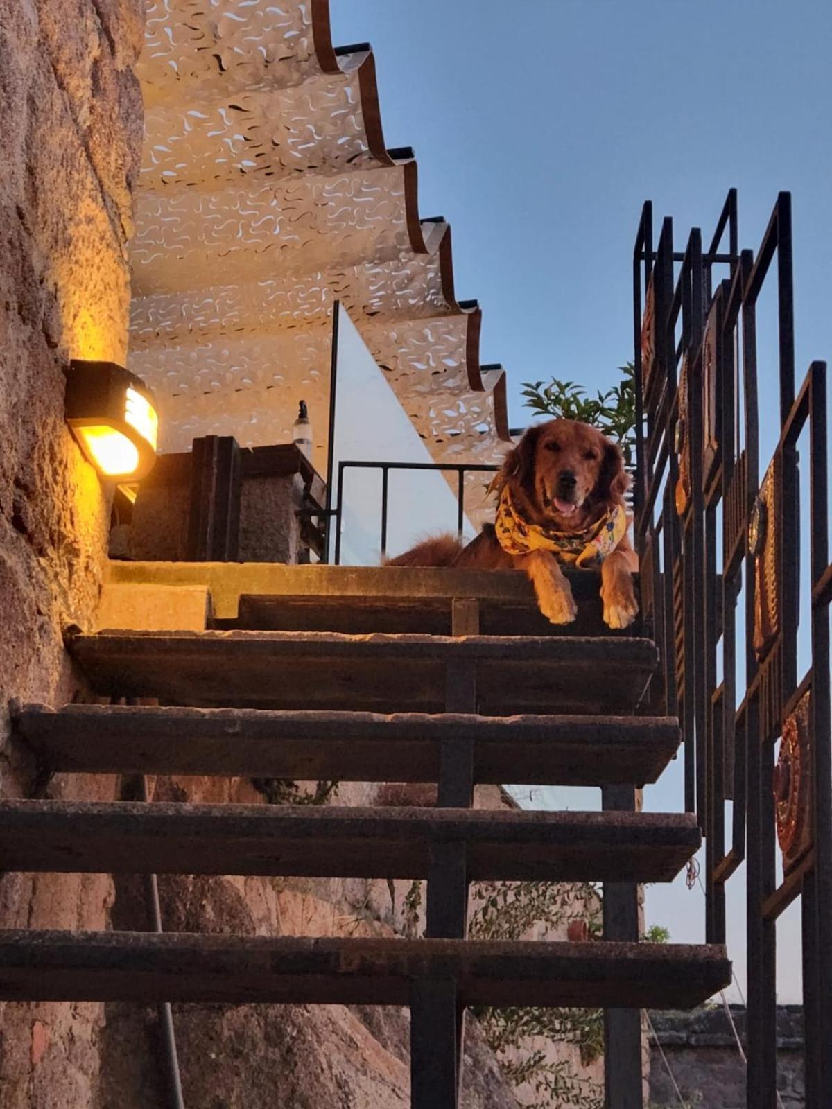 Assos Sunset Hotel エクステリア 写真